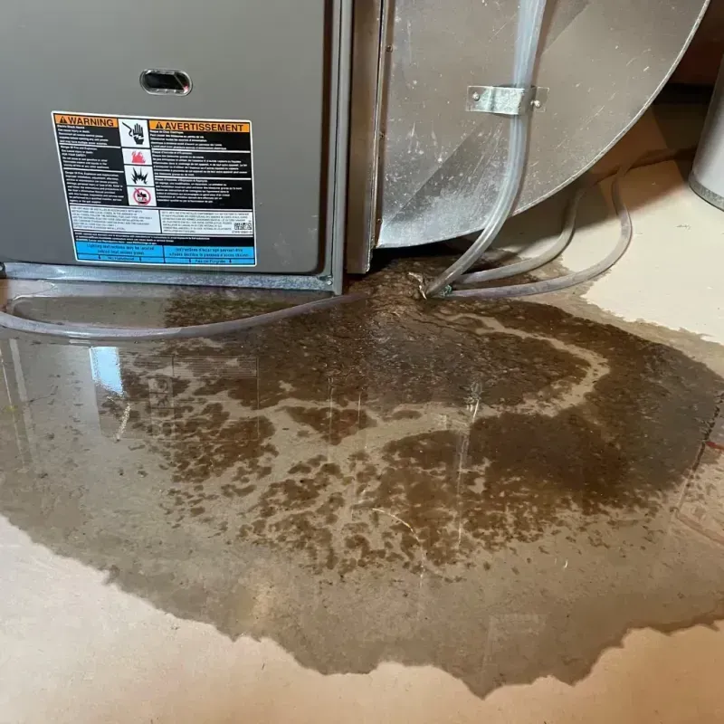 Appliance Leak Cleanup in Louisburg, KS